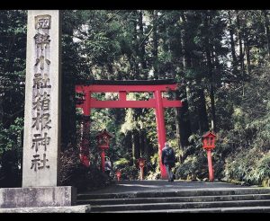 e3aeb1f1-c642-4352-b523-82db0c29c03b